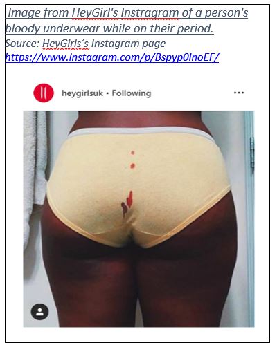 Text Box:  Image from HeyGirl's Instragram of a person's bloody underwear while on their period.
Source: HeyGirls’s Instagram page https://www.instagram.com/p/Bspyp0lnoEF/
    

